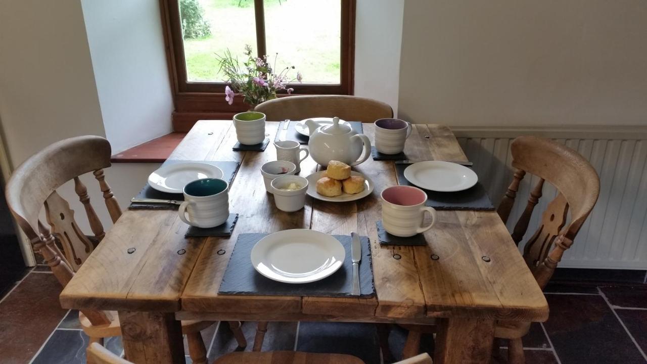 Coopers Cottage Dog Friendly North Cornwall Delabole Eksteriør bilde